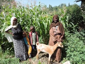 Truth about goats: Zemu and family stand next to the goat that provides their income