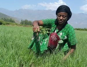 Best.Gift.Ever in Action: Madam Ansha in her field