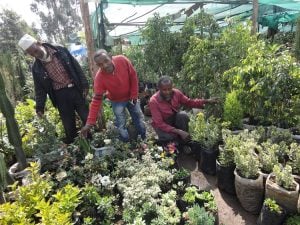 Garden Shop: Business partners with the plants