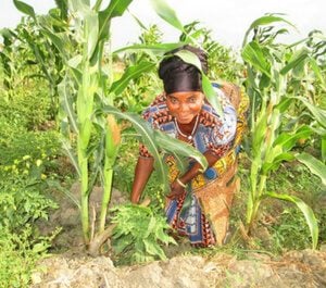 Farmer's collective: Madam Akasele in her garden