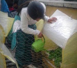 Silvia watering her plants