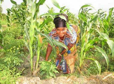 Farmers’ collective yields success
