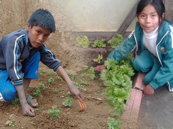Growing green thumbs in Bolivia