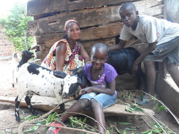 Life-changing Livestock