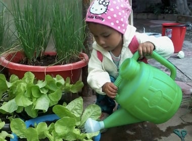 How does your garden grow?