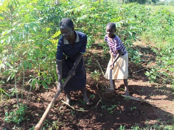 Planting seeds of hope