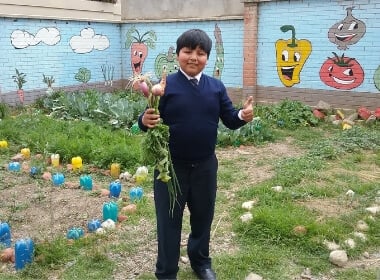 Sprouting seeds of knowledge: Classroom gardens improve food security