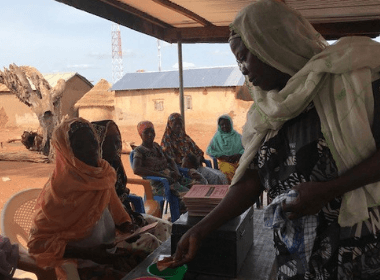 Women in VSLA group