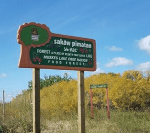 Two signs for the Muskeg Lake food forest