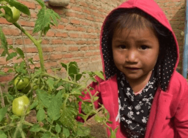 It takes a village to feed a child