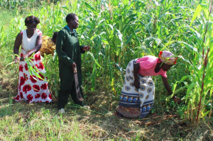 a community agricultural worker works with women farmers to improve crop yields.