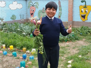school gardens often provide food for the whole school