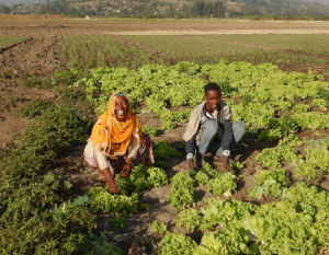 Family farm in Ethiopia