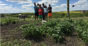 Child hunger in Indigenous communities in Canada can be significantly reduced when families are supported with sustainable food security initiatives, like this garden at Waywayseecappo First Nation (MB).