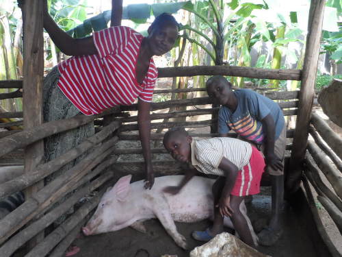 A mother and her two sons pet their pig 