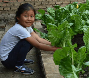A little girl working in her garden