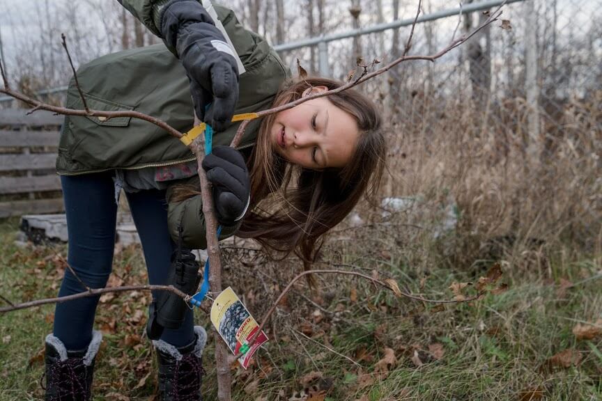 A young girl plants a tree in a forest