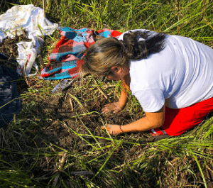 A woman works her in backyard garden planting