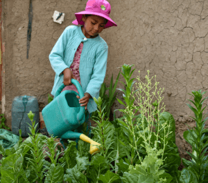 A young girl waters her plants