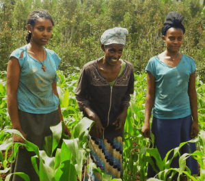 A woman and her two daughters in their field of crops