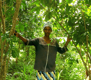 A woman stands with her thriving coffee trees