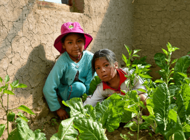 Home gardens are growing hope thanks to you