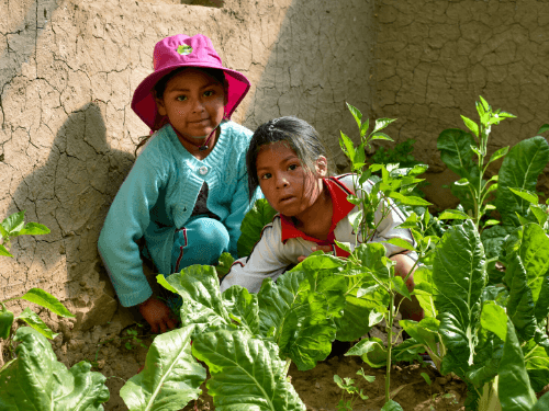 Two little girls in their home garden