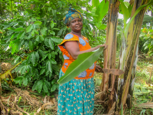 A woman prunes her trees in her backyard
