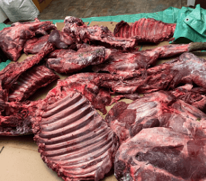 Caribou meat