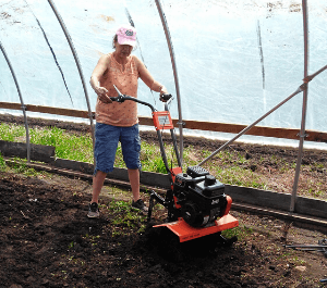 A woman in the garden tunnel uses a rototiller