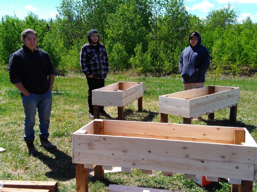 A group of young men posing next to wooden planter boxes they've made