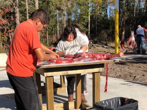 A group of people butchering moose meat