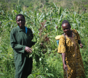 Jane in green at left holds a plant, while another woman in yellow at right does pest control. They are both standing in a field with tall plants.