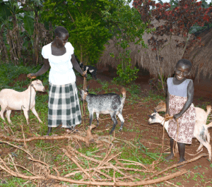 a woman and her young daughter hold their farm goats
