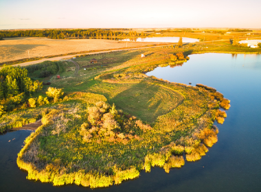 Earth Day 2021: Could food forests be the key to restoring the planet?