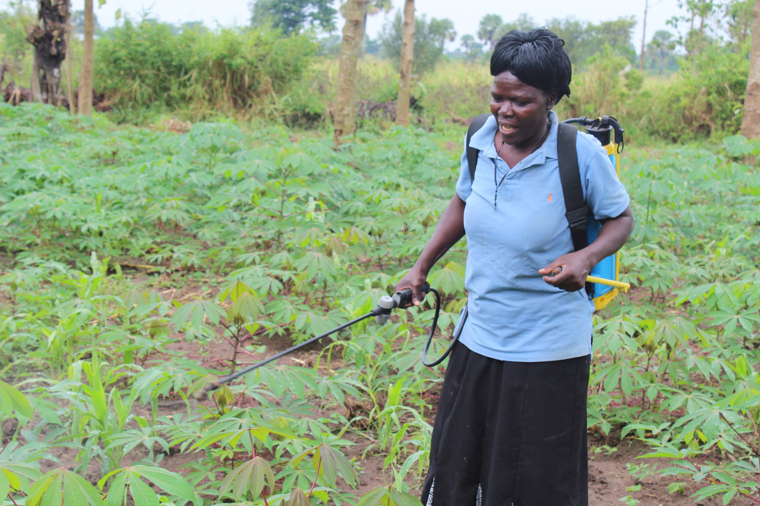Women spraying her crops