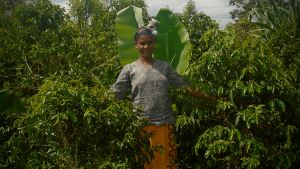 Berhane stands in her coffee farm