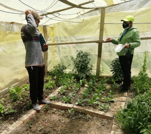 a man and woman stand in a community garden