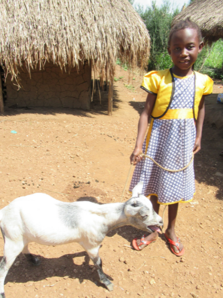 young girl holds a goat