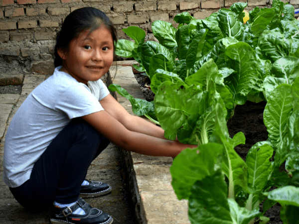 How gardens are transforming community food systems in Bolivia