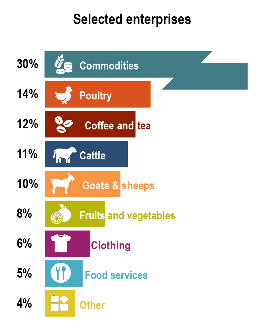 Selected enterprises: 30% Commodities, 14% Poultry, 12% Coffee/Tea, 11% Cattle, 10% Goats/sheep, 8% fruits/vegetables, 6% clothing, 5% food services, 4% other