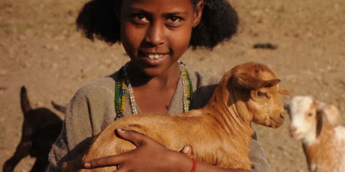 Buying a Goat for a Family in Africa: The Pros & Cons