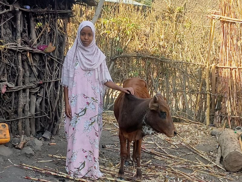 Medina, a cattle trader, stands with one of her calves in Ethiopia