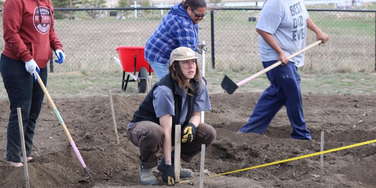 Food Forest Updates from Ahtahkakoop and Muskeg Lake