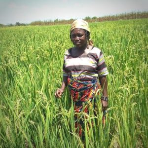 A woman in Ghana standing in a field