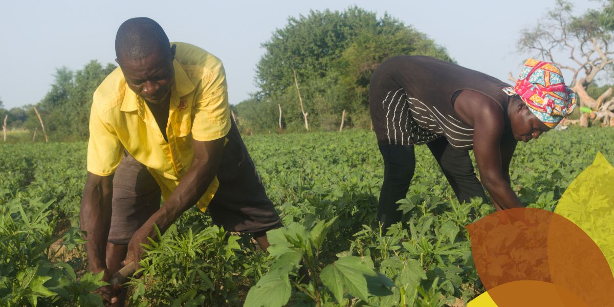 Changing attitudes about women in agriculture