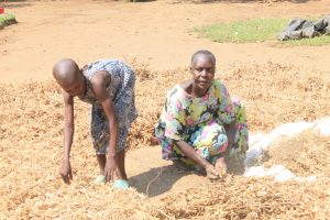 a young girl helps her grandmother in their home garden