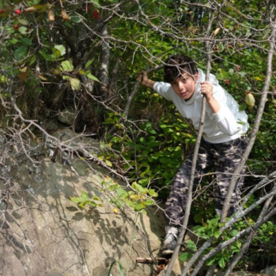 a boy poses as he climbs a tree in the bush