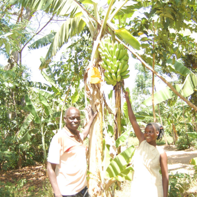 a man and woman smile standing underneath a banana tree