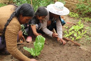 two women and a child digging in a small garden